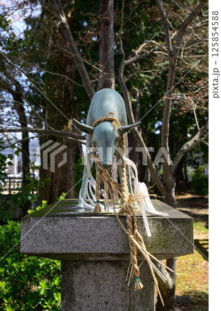 立木神社　神鹿 125854588
