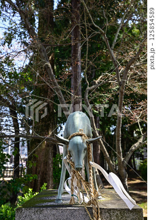 立木神社 神鹿 立木神社 神鹿 125854589