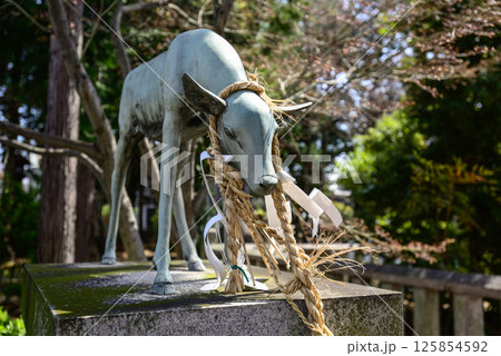 立木神社 神鹿 立木神社 神鹿 125854592
