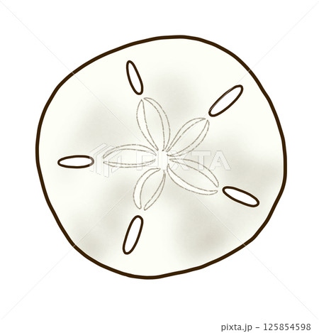 スカシカシパンの裸殻 125854598