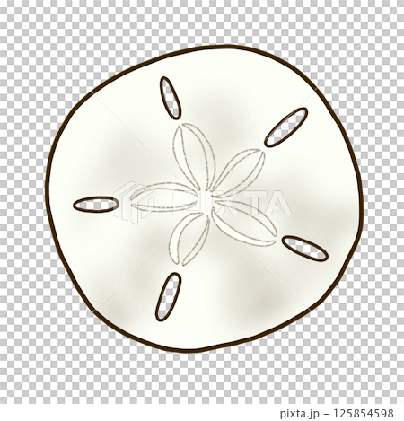 スカシカシパンの裸殻 125854598