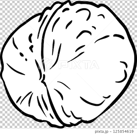 Walnut Outline Illustration. Organic natural nutritional healthy food ingredient, vegetarian diet product. Walnut Outline Illustration. Organic natural nutritional healthy food ingredient, vegetarian diet product. 125854619