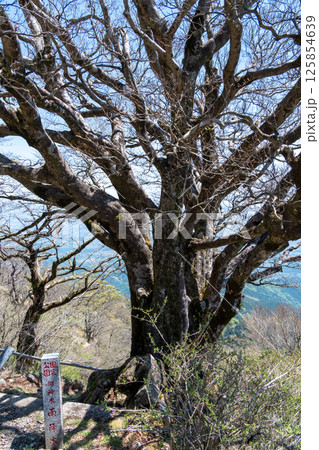 大山(神奈川県伊勢原市)山頂の風景 125854639