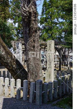 立木神社 皇大神宮遥拝所と宮城遥拝所 立木神社 皇大神宮遥拝所と宮城遥拝所 125854696