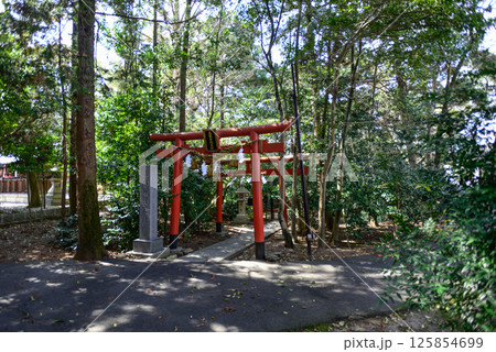 立木神社　摂社　立木弁財天社 125854699