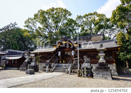 立木神社 本殿 立木神社 本殿 125854702