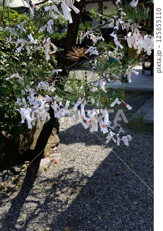 立木神社 おみくじ 立木神社 おみくじ 125855110