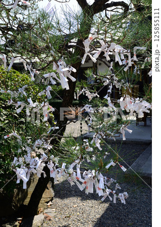 立木神社　おみくじ 125855111