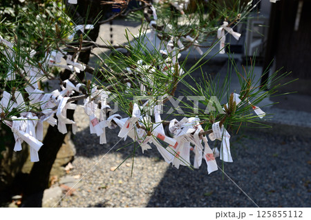 立木神社　おみくじ 125855112