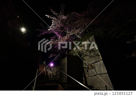 ライトアップされた夜桜 125855127
