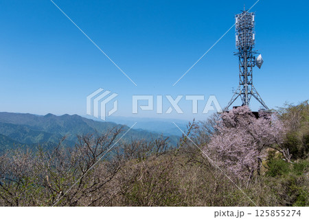 大山(神奈川県伊勢原市)山頂からの眺望 ※秩父方面を望む 大山(神奈川県伊勢原市)山頂からの眺望 ※秩父方面を望む 125855274