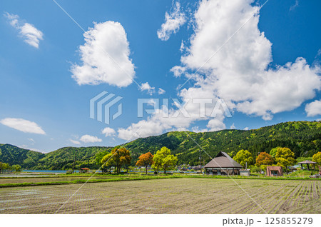 余呉湖畔の新緑の木々と山並み　滋賀県長浜市余呉町 125855279