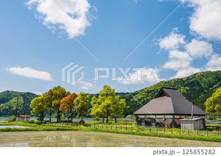 余呉湖畔の新緑の木々と山並み　滋賀県長浜市余呉町 125855282