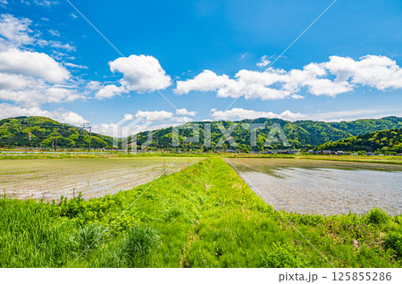 湖北地方ののどかな田園風景 滋賀県長浜市余呉町 湖北地方ののどかな田園風景 滋賀県長浜市余呉町 125855286