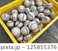かごに入ったたくさんの汚れた野球ボール 125855376