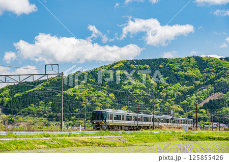 北陸本線余呉駅付近を走る新快速電車　滋賀県長浜市余呉町 125855426