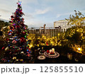 クリスマスの庭 125855510