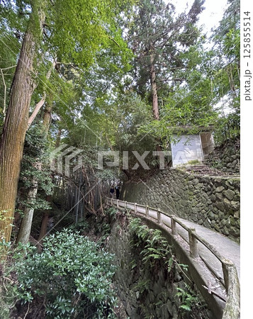 山の辺の道 山の辺の道 125855514