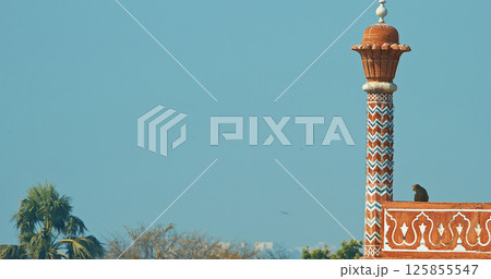 Agra, Uttar Pradesh, India. Monkey Sit On Old Red Fortress Gate Near Taj Mahal. Animal Life In Urban Environment. Animals Live Next To People. Bonnet Macaque - Macaca Radiata Or Zati. Indian Fauna 125855547