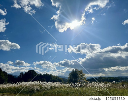 山の辺の道 125855580