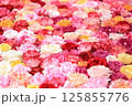 きっちりと池に並べられたバラの花 125855776