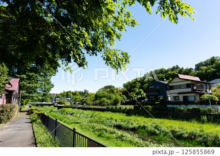 野川と大沢の里（湿生花園）　春の青空　東京都三鷹市大沢 125855869