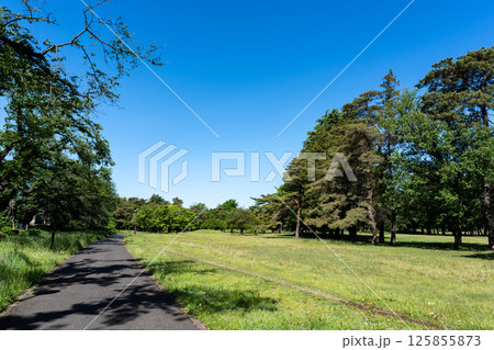 野川公園の景色　春の青空　東京都三鷹市大沢 125855873