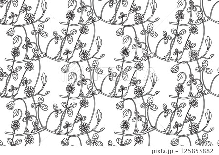 Line art botanical seamless floral pattern vector illustration. Black outline repeating clover plants with Flowers Stems Leaves in white background. Graphic design for Fashion Cover Textile Wedding Line art botanical seamless floral pattern vector illustration. Black outline repeating clover plants with Flowers Stems Leaves in white background. Graphic design for Fashion Cover Textile Wedding 125855882