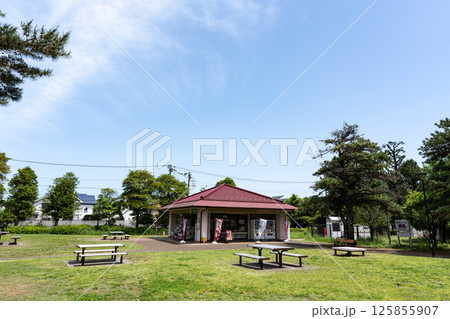 野川公園のパークス野川 春の青空 東京都三鷹市大沢 野川公園のパークス野川 春の青空 東京都三鷹市大沢 125855907