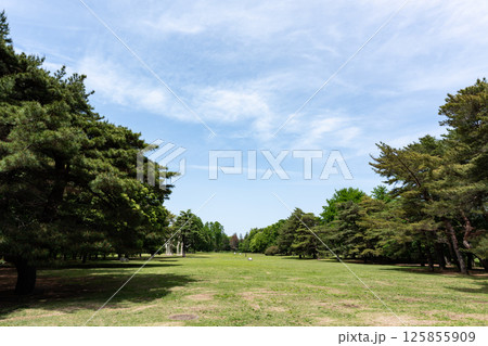野川公園で一休み　春の青空　東京都三鷹市大沢 125855909