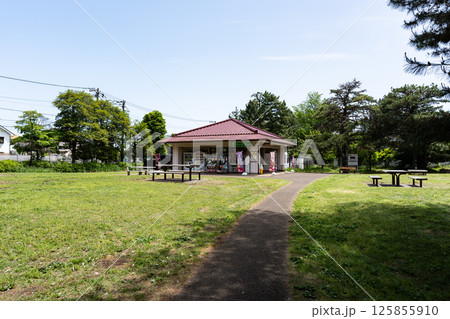 野川公園のパークス野川でお買い物　春の青空　東京都三鷹市大沢 125855910
