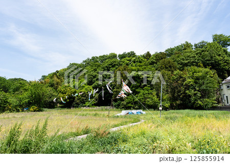 野川と大沢の里(湿生花園) こいのぼり 春の青空 東京都三鷹市大沢 野川と大沢の里(湿生花園) こいのぼり 春の青空 東京都三鷹市大沢 125855914
