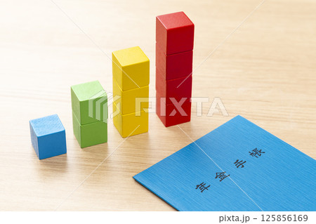 年金手帳と積木で作られたグラフ 125856169