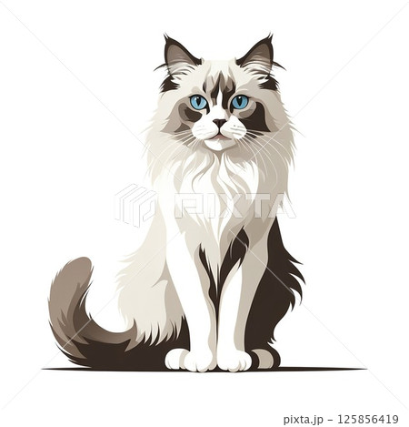 気高い猫のラグドールの挿絵イラスト 125856419