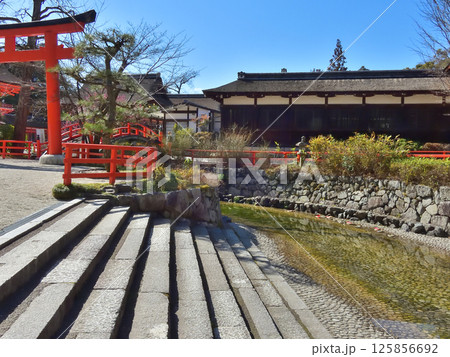 賀茂御祖神社（下鴨神社）流し雛 125856692