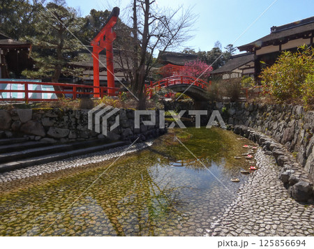 賀茂御祖神社（下鴨神社）流し雛 125856694