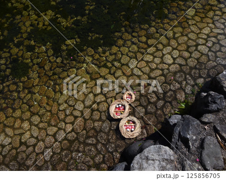 賀茂御祖神社(下鴨神社)流し雛 賀茂御祖神社(下鴨神社)流し雛 125856705