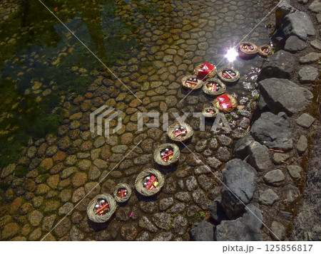 賀茂御祖神社（下鴨神社）流し雛 125856817