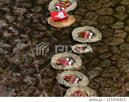 賀茂御祖神社（下鴨神社）流し雛 125856823