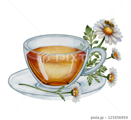 Cup of tea with chamomile and bee, watercolor 125856959