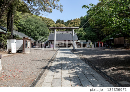 日本三大公園の一つ偕楽園隣接している春の常盤神社拝殿 125856971