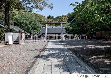 日本三大公園の一つ偕楽園隣接している春の常盤神社拝殿 日本三大公園の一つ偕楽園隣接している春の常盤神社拝殿 125856972