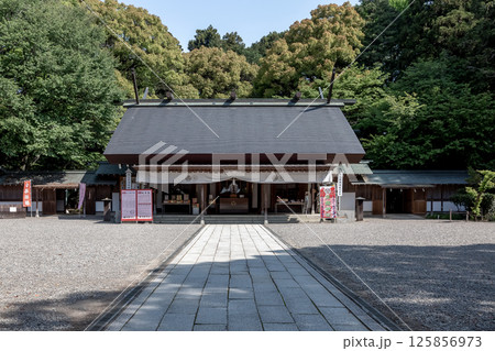 日本三大公園の一つ偕楽園隣接している春の常盤神社拝殿 日本三大公園の一つ偕楽園隣接している春の常盤神社拝殿 125856973