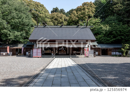 日本三大公園の一つ偕楽園隣接している春の常盤神社拝殿 125856974