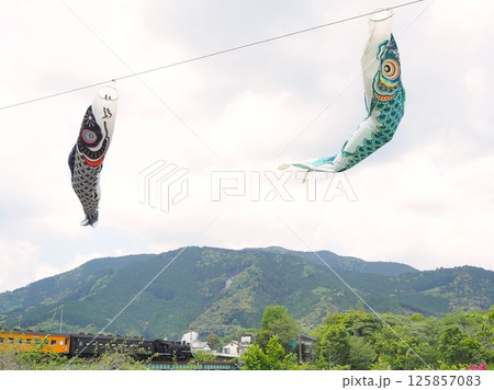 静岡県　大井川鐡道　蒸気機関車とこいのぼり　4月 125857083