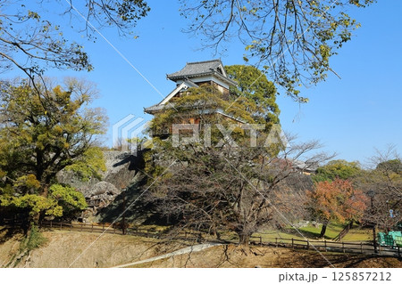 熊本市 熊本城 熊本市 熊本城 125857212