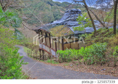 March 26 2025 Abandoned Traditional House Amidst Nature in a Serene Forest Setting, Japan March 26 2025 Abandoned Traditional House Amidst Nature in a Serene Forest Setting, Japan 125857339