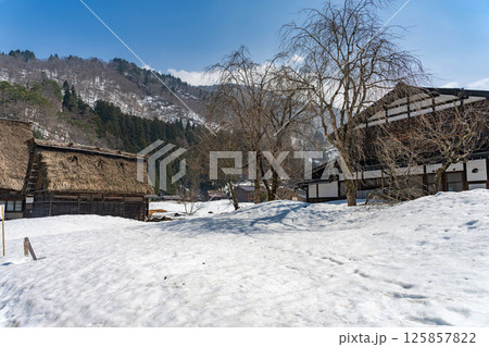 雪解けの白川郷 残雪の中の集落 125857822
