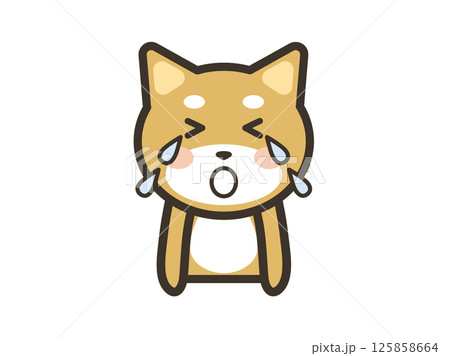 大泣きするかわいい柴犬の上半身イラスト 125858664