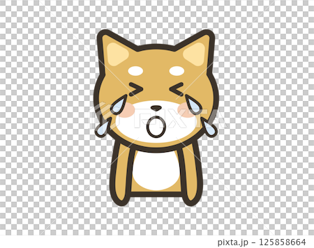 大泣きするかわいい柴犬の上半身イラスト 125858664